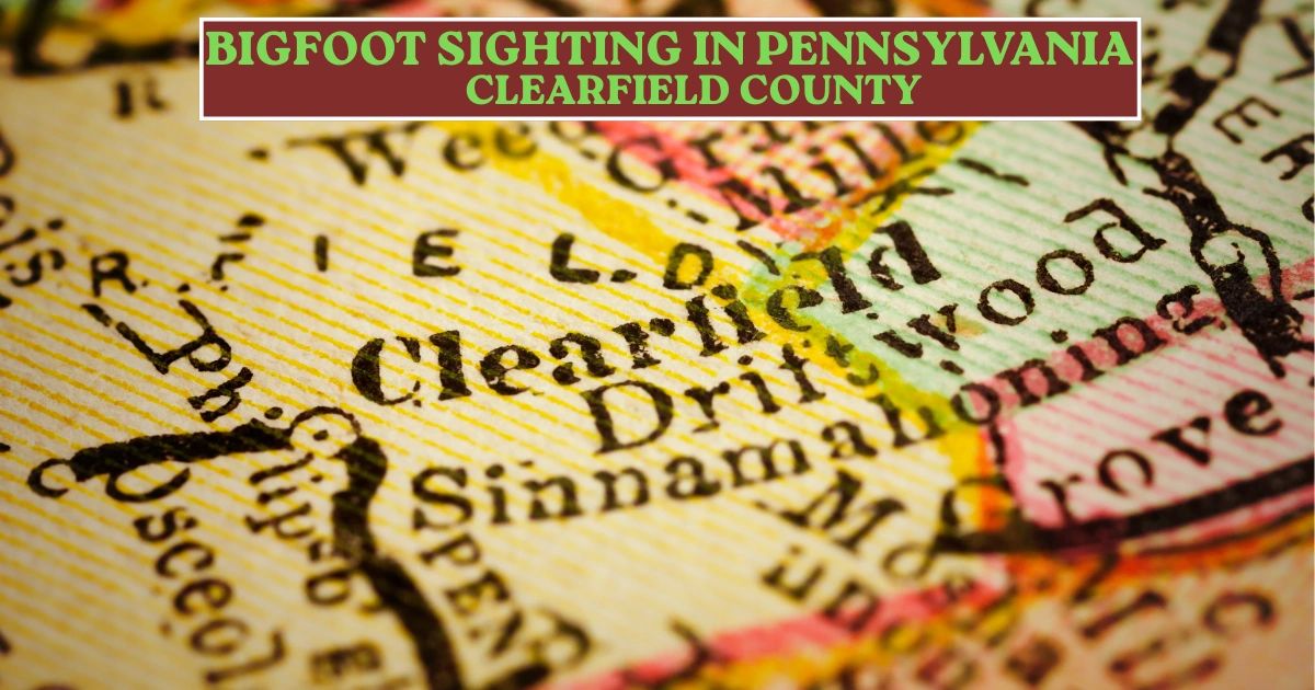 SQUATCH n BERRY® — We return to Pennsylvania to look at Bigfoot sightings in Clearfield County! A hunter and his family encounter two Bigfoot in a field near Houtzdale