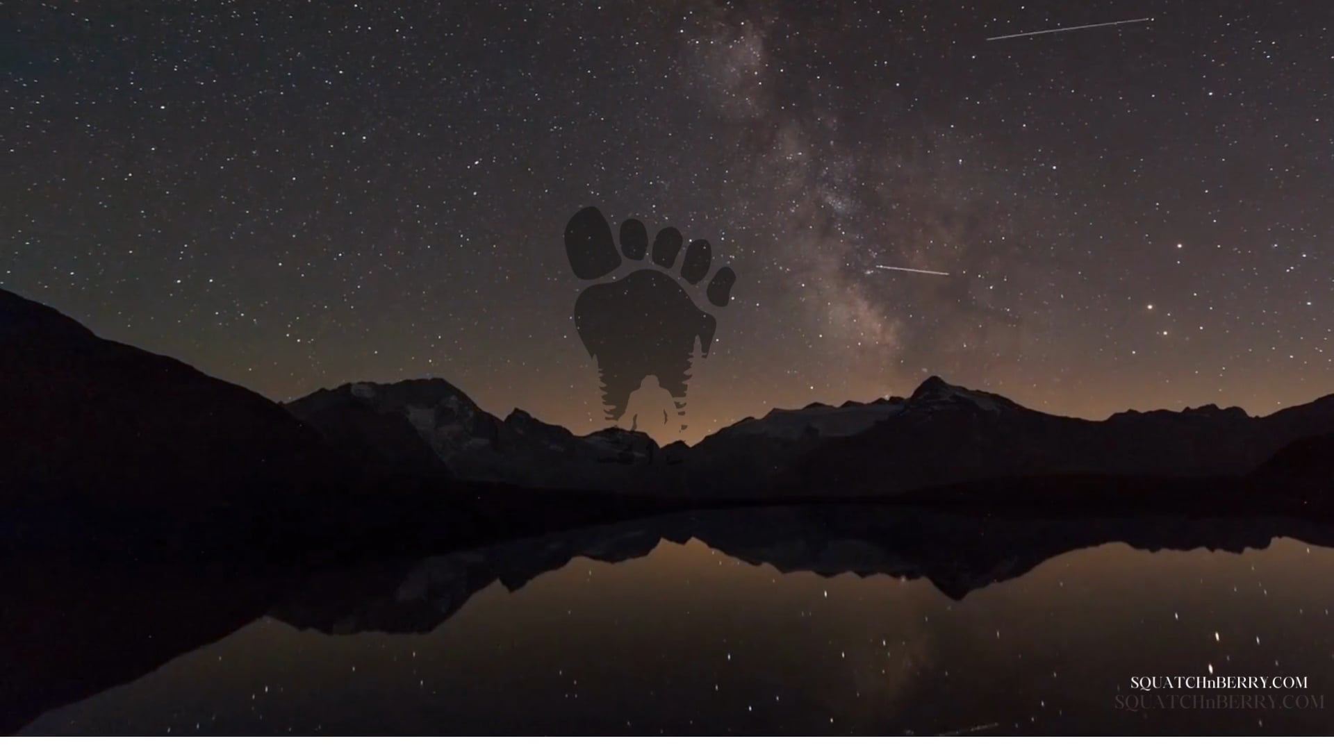 Nighttime landscape hot air balloon with paw print