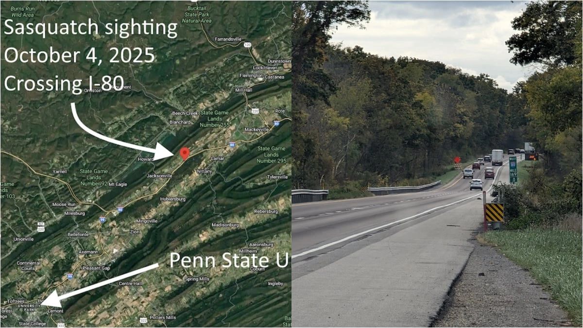 SQUATCH n BERRY® — 'A very credible' Bigfoot sighting was reported crossing I-80 near Bald Eagle State Park in Central Pennsylvania on October 4th 2025
