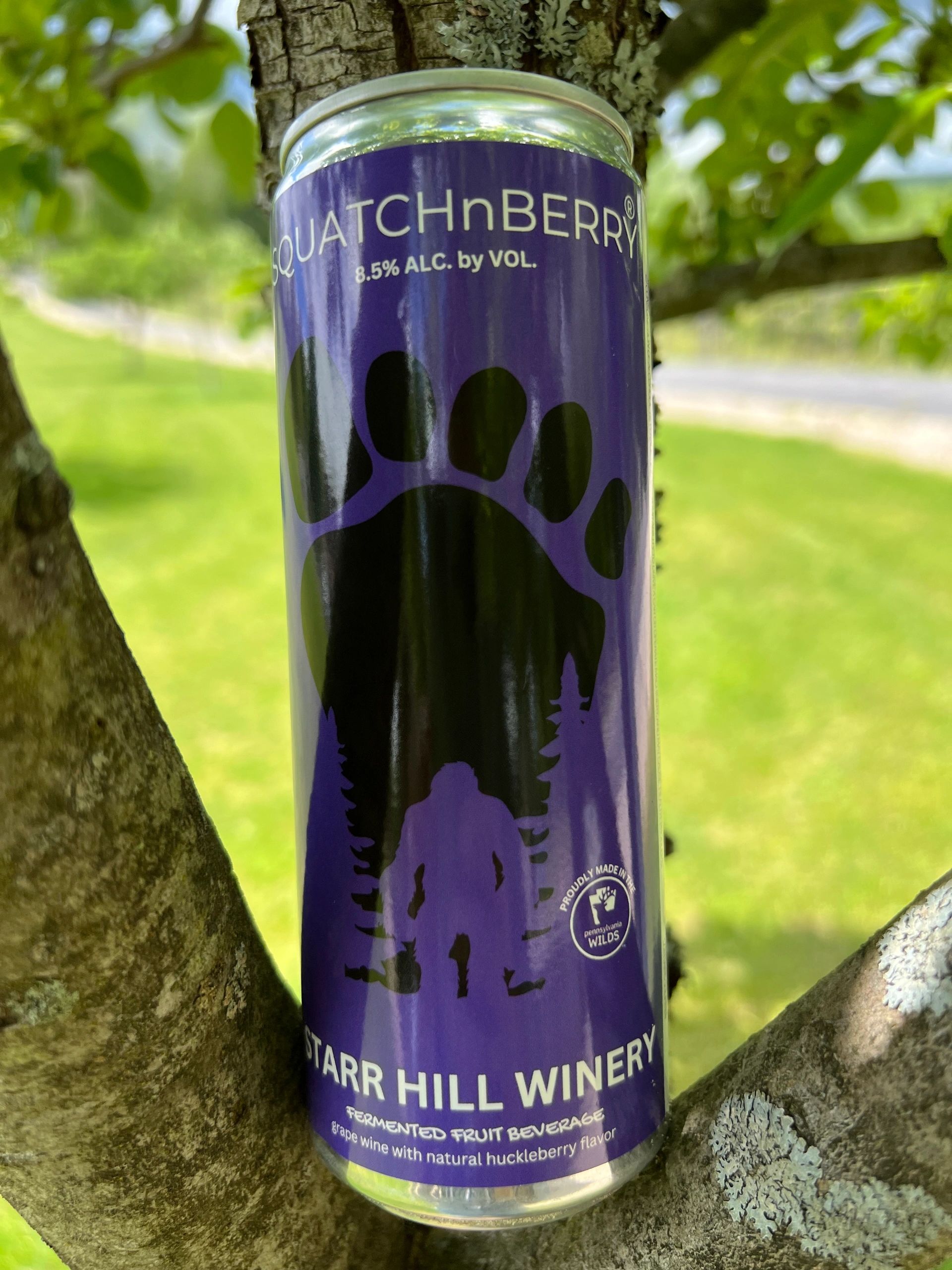 Squatch n Berry wine can on tree outdoor
