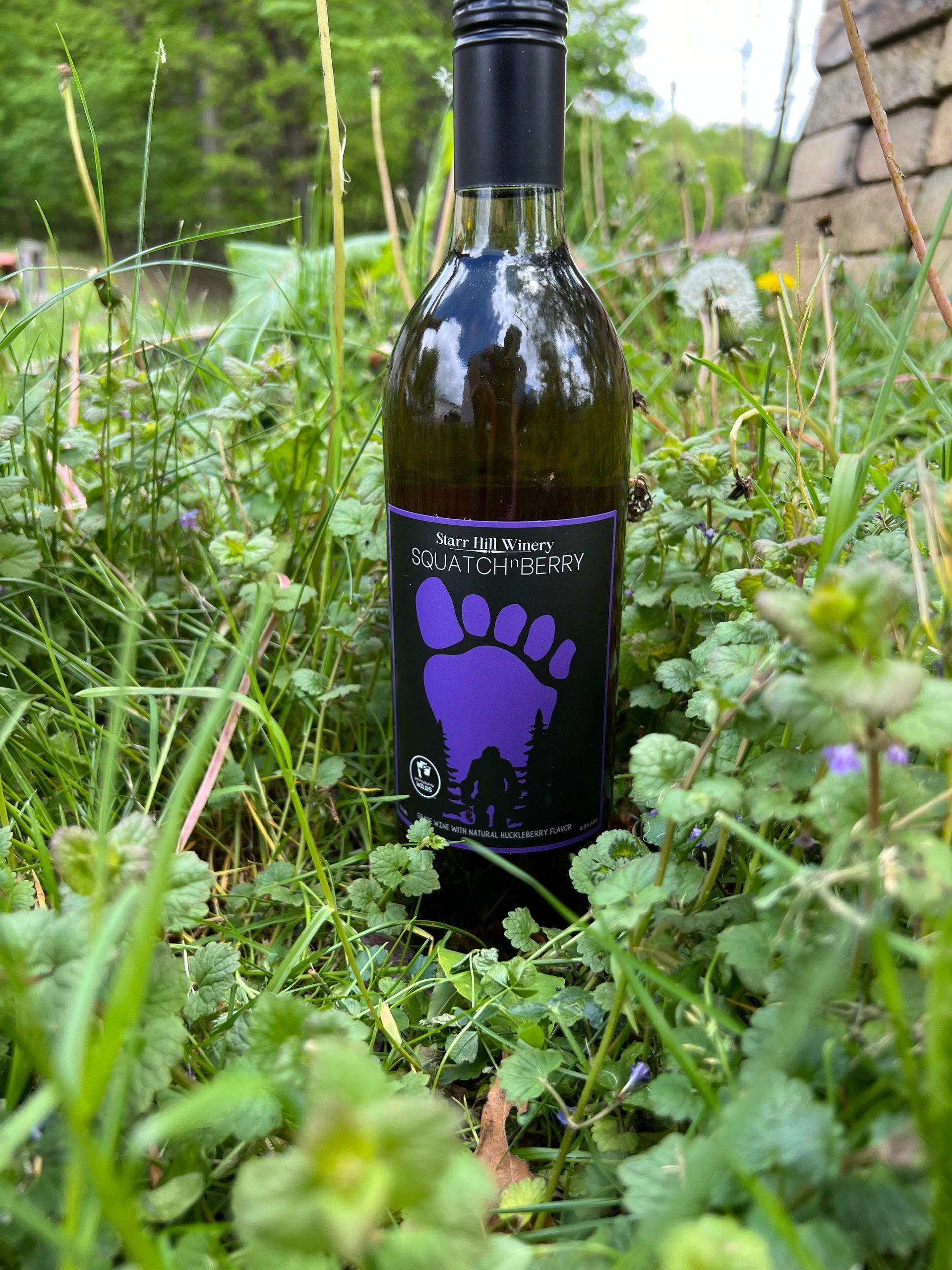 Squatch n Berry wine bottle in garden